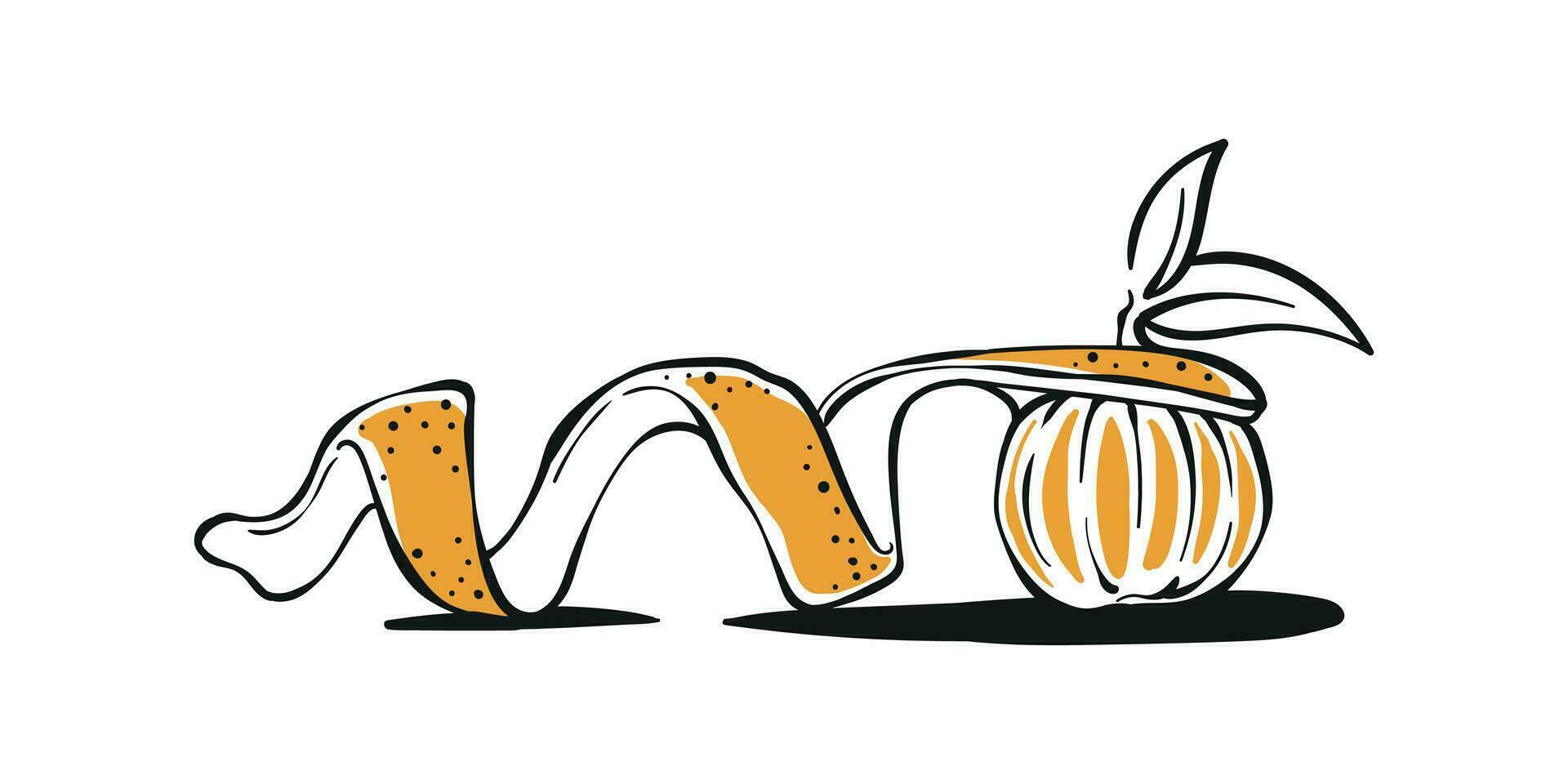 Orange fruit peeling skin illustration with leaves sketch drawing vector design