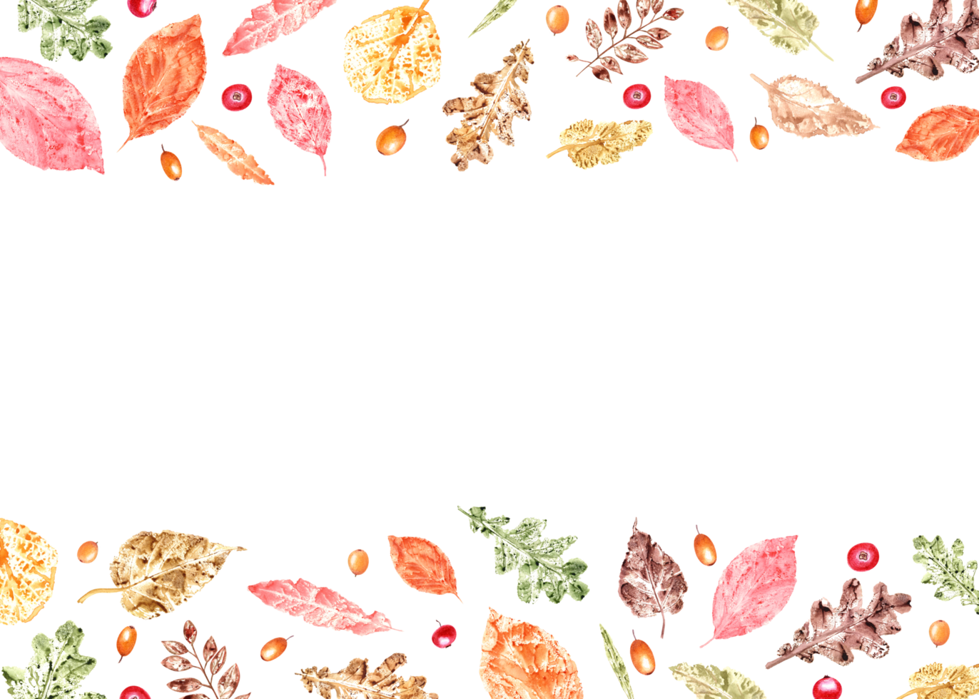 Horizontal frame of colorful autumn leaves imprints, sea buckthorn, red bilberries. Watercolor illustration of fall dry leaves, red and orange berries. png