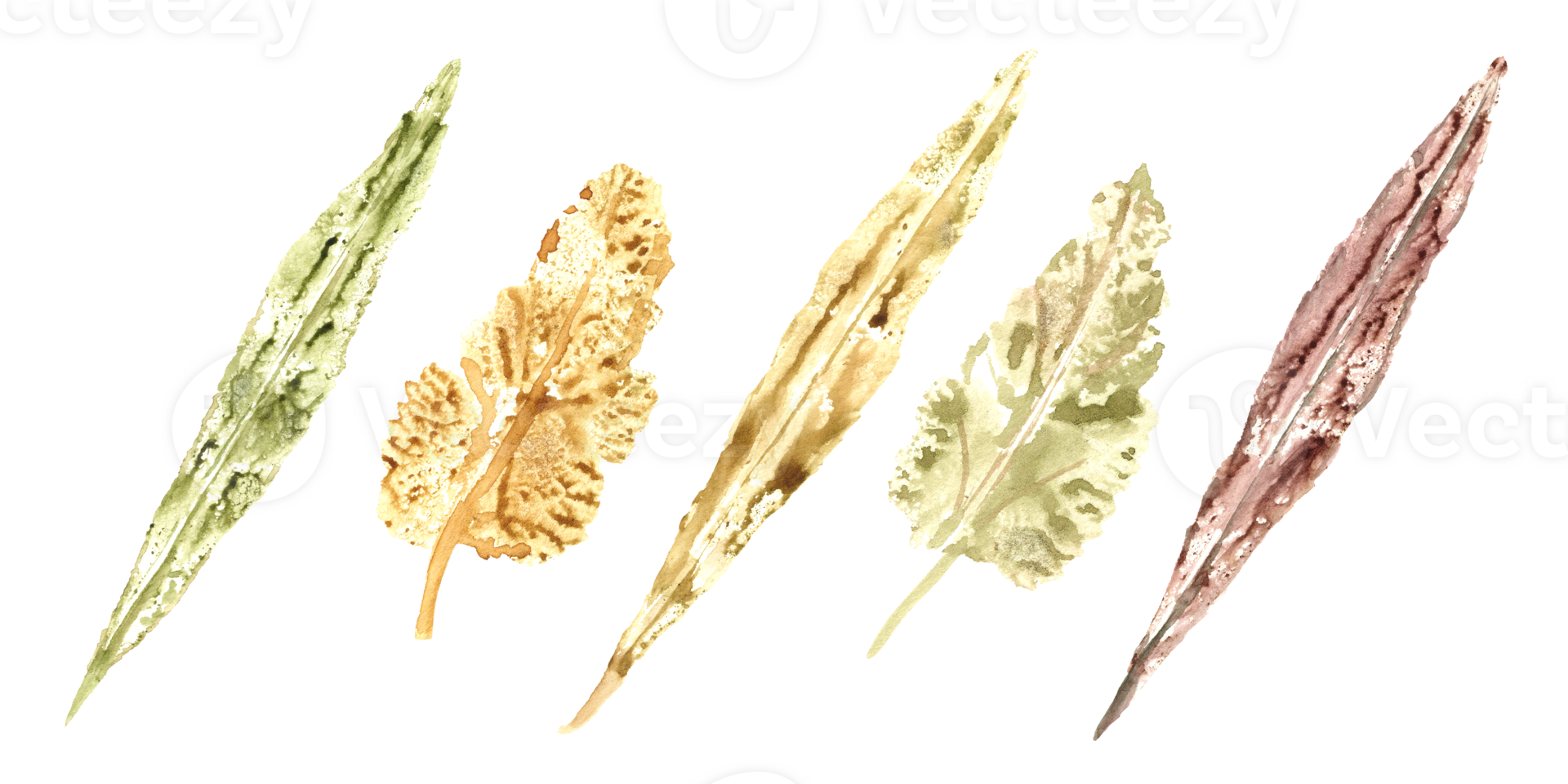 Colorful autumn leaves imprints. Set of fall dry leaves in green, brown, yellow. Watercolor illustration for prints, posters, texture, frame, cards png