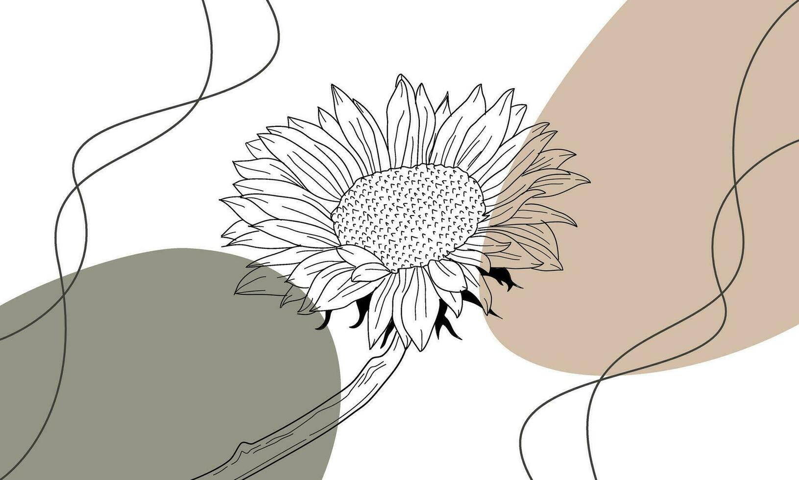 aesthetic sunflower background. hand drawn line art flower. Sun Flower Outline vintage illustration. Sunflower flower sketch hand drawn line art Vector illustration. Sunflower line art.