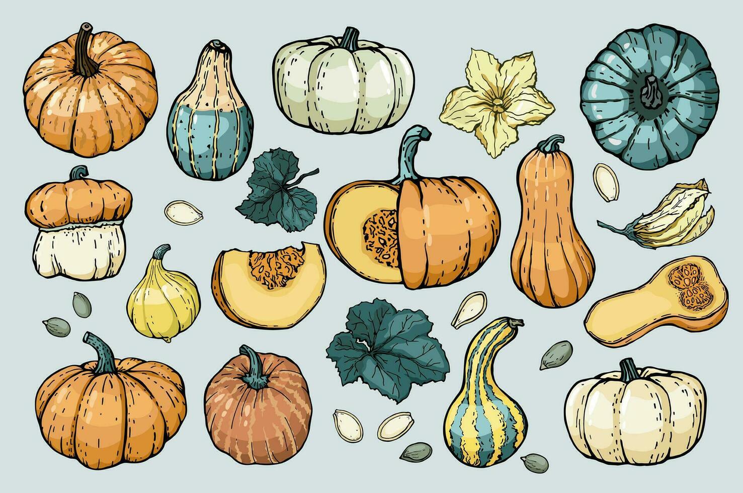 Pumpkin set. Pumpkins of various shapes, colors and characters, hand-drawn with an outline. Sketch. Vector illustrated clipart.