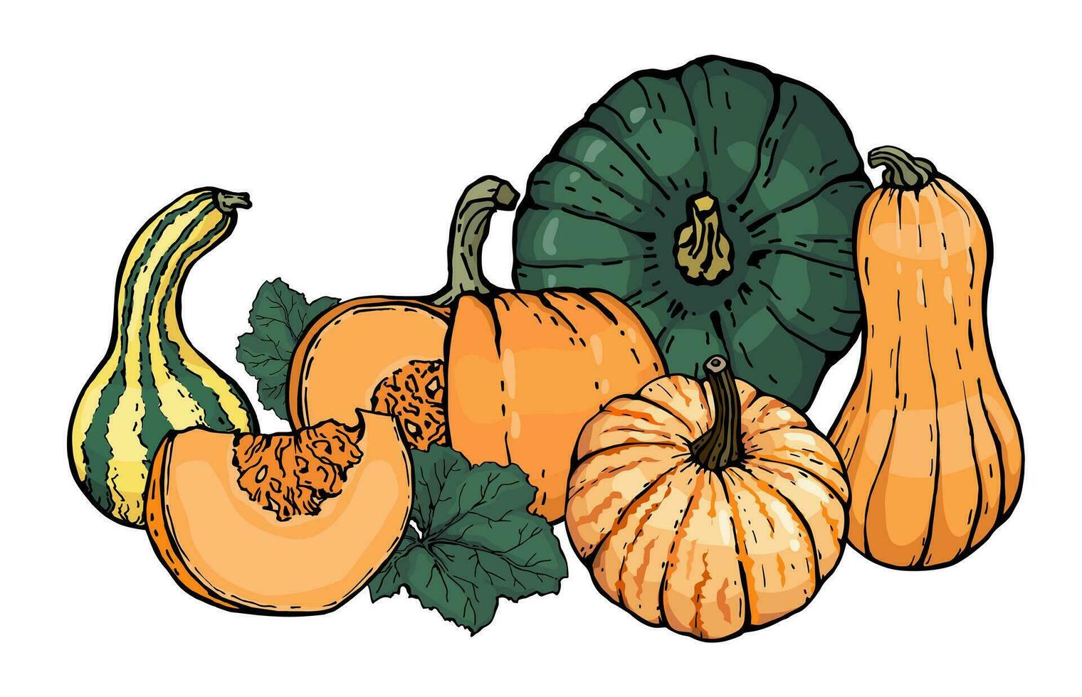 Pumpkin group. Pumpkins of various shapes, colors and characters, hand-drawn. Sketch. Vector illustrated clipart.