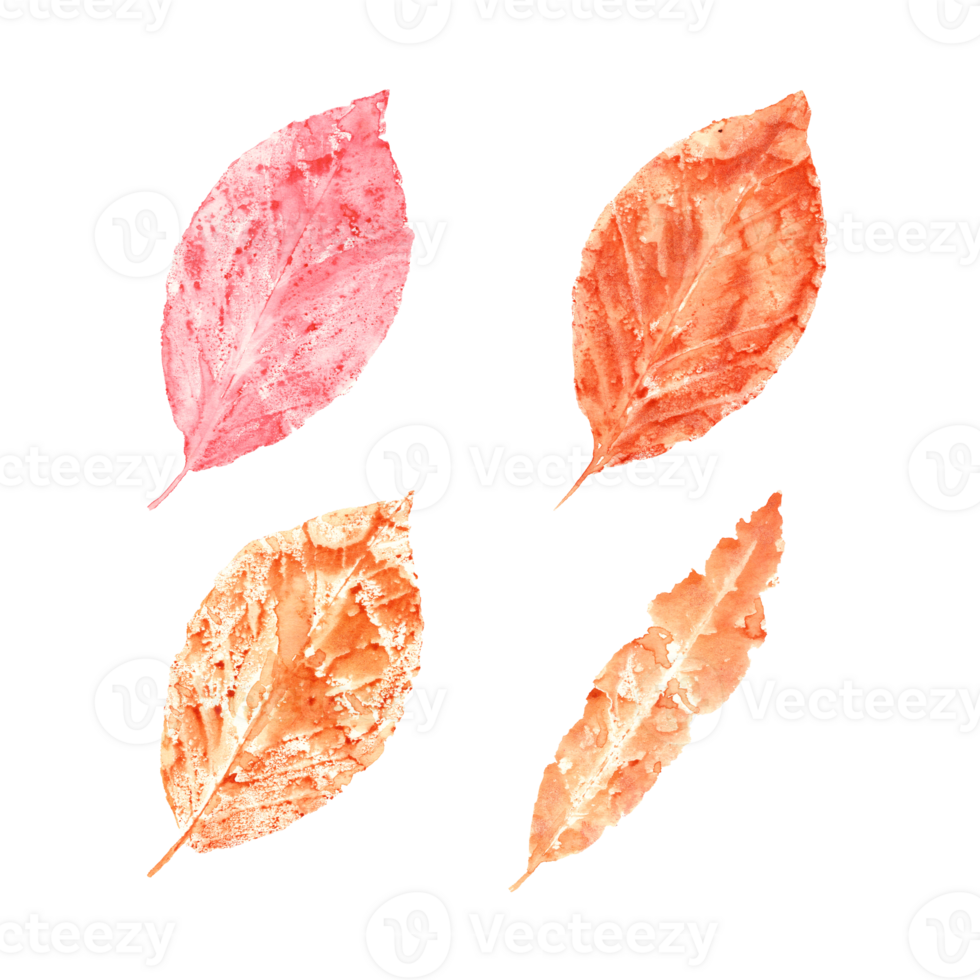 Imprints of autumn leaves in orange, pink colors. Set of fall dry leaves. Watercolor illustration of colorful leaf silhouettes for posters, texture, frame, cards png