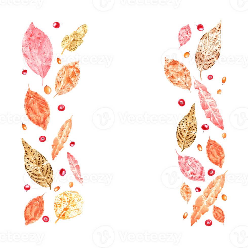 Frame of colorful autumn leaves imprints, sea buckthorn and cowberries. Set of fall dry leaves and berries. Watercolor illustration, space for text. png