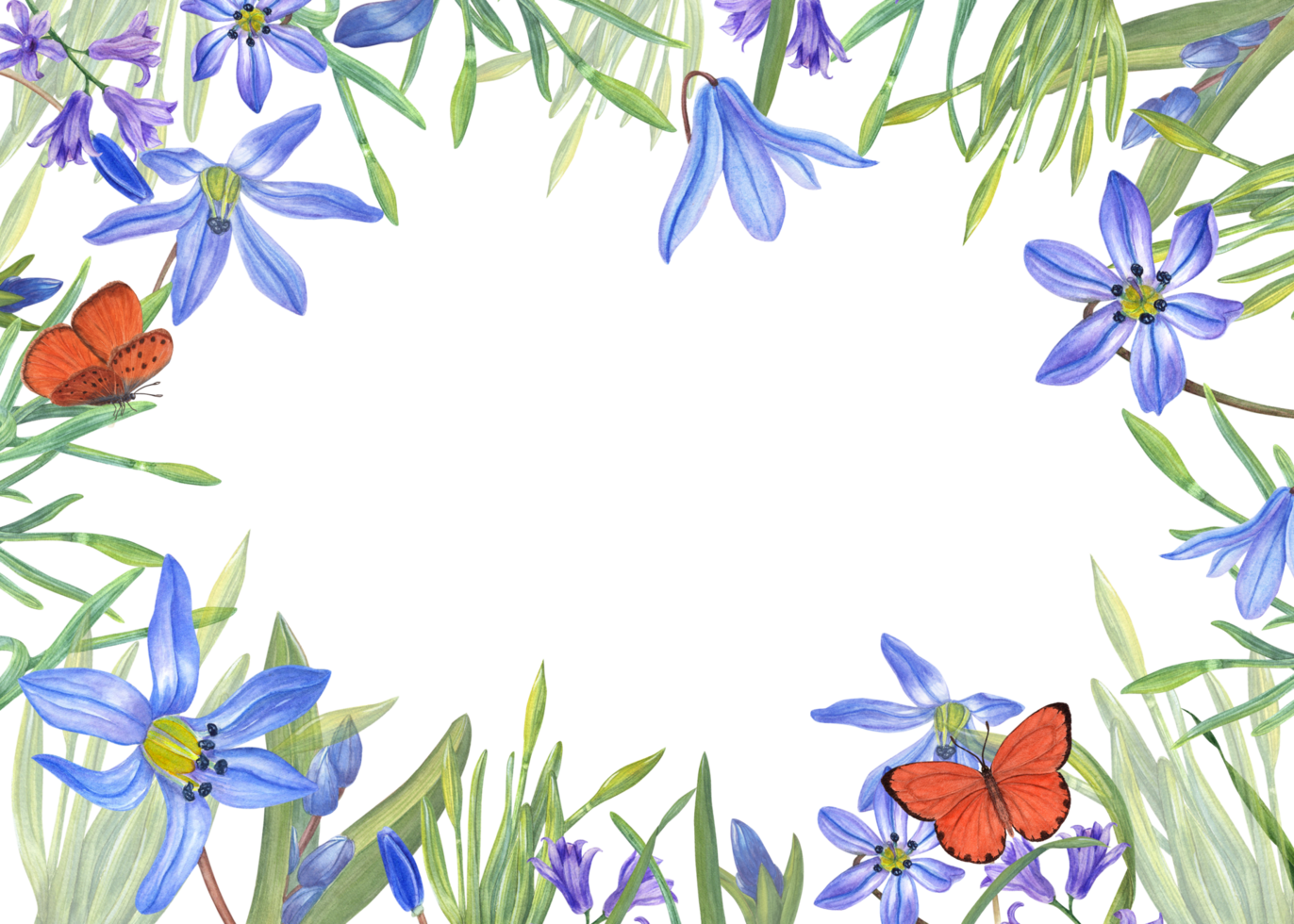 Watercolor horizontal frame with scillas, daffodils, butterflies, hyacinths. Illustration contains space for your text. Save the Date, Valentines day, birthday, wedding postcards png