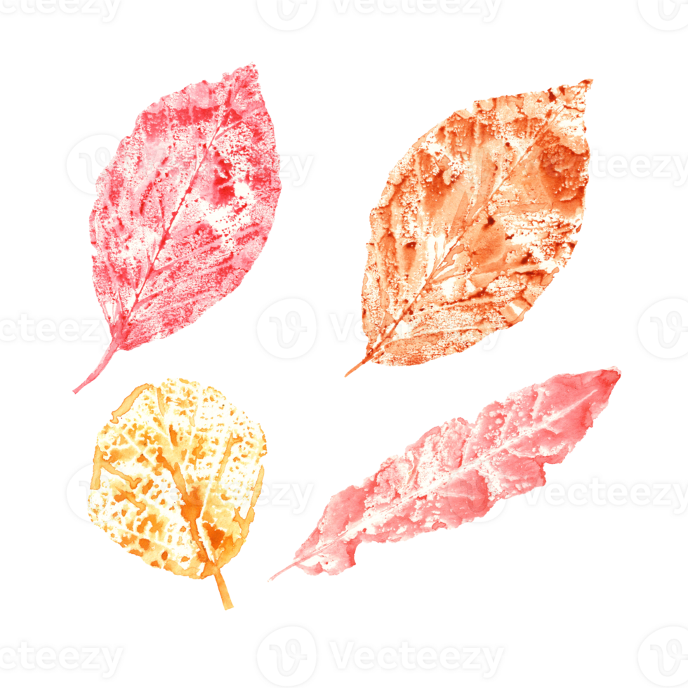 Imprints of autumn leaves in orange, yellow, pink colors. Set of fall dry leaves. Watercolor illustration of colorful leaf forms for posters, texture, frame, cards png