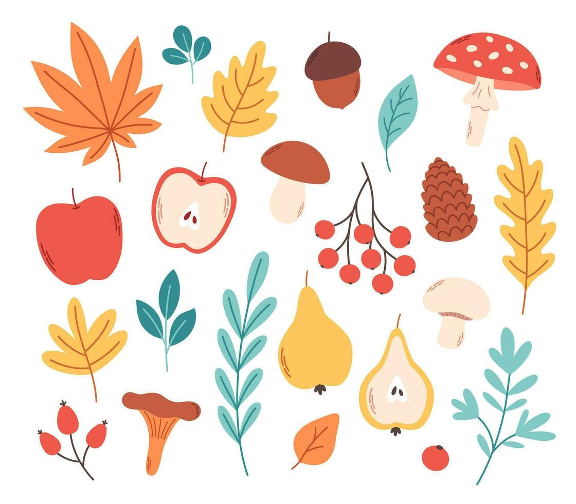 Autumn leaves, plants, mushrooms, fruits. Fall season, hello autumn vector