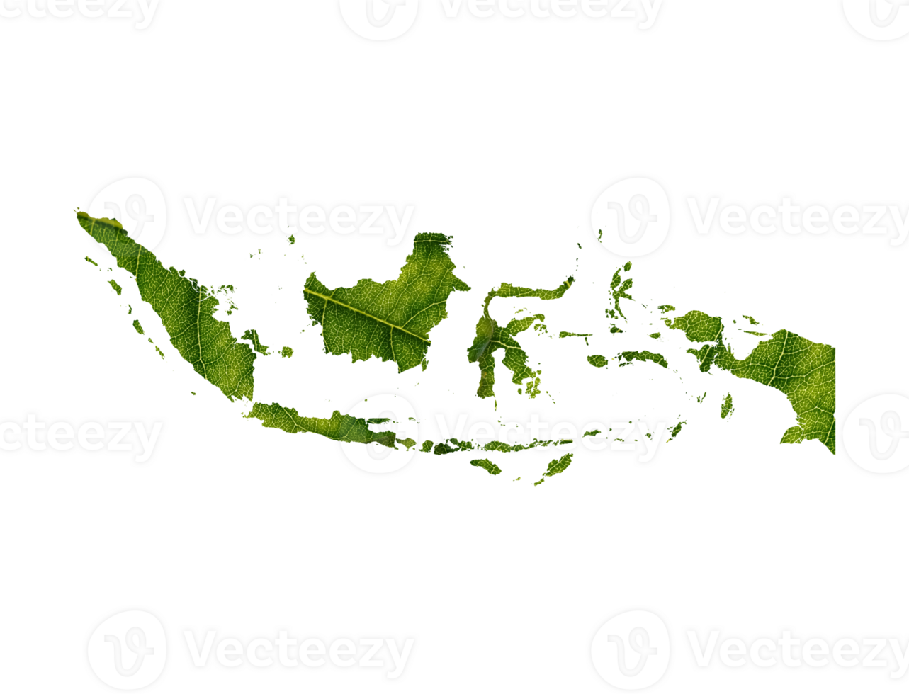 Indonesia map made of green leaves, concept ecology Map green leaf png