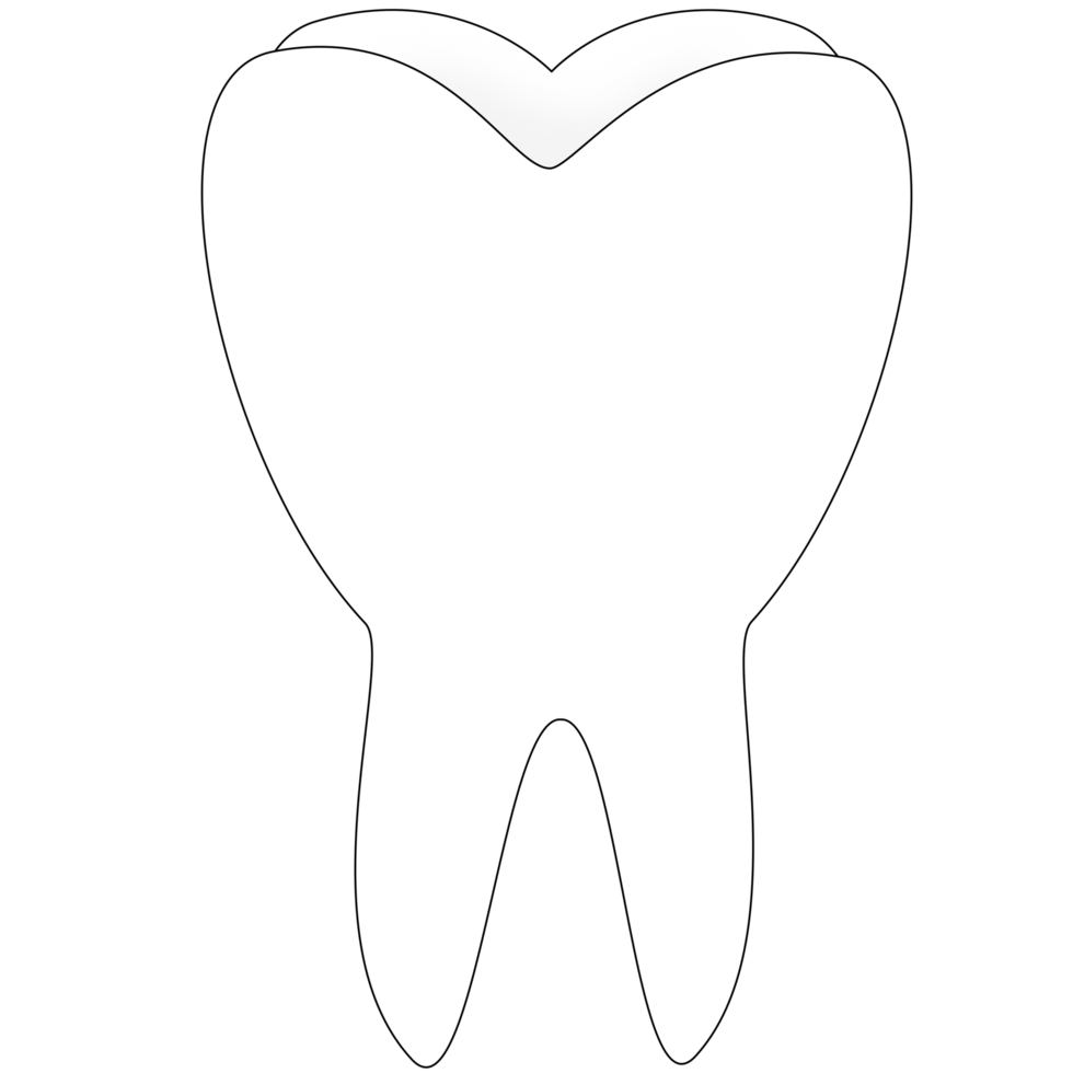 tooth isolated on white png