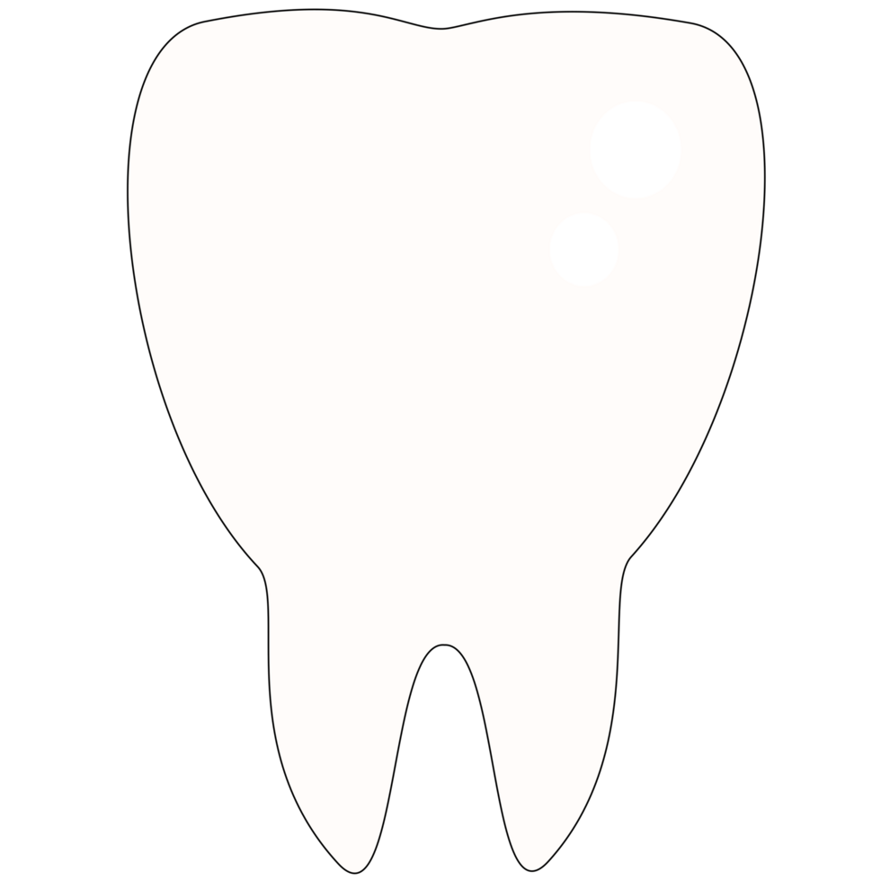 dente molar isolado png