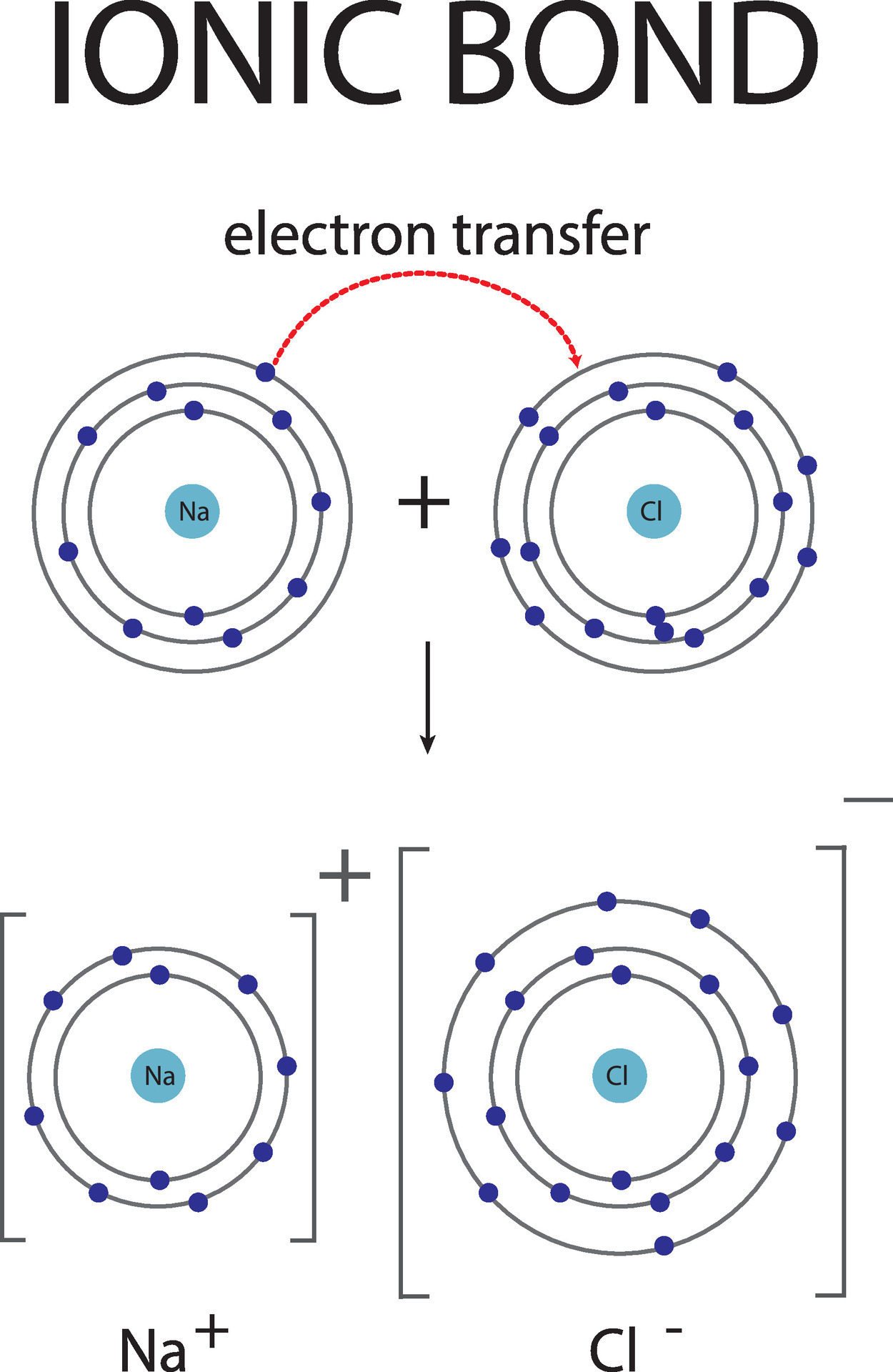 Ionic Bond Diagram - Ionic Bonding Diagram For Chemistry Education Vector