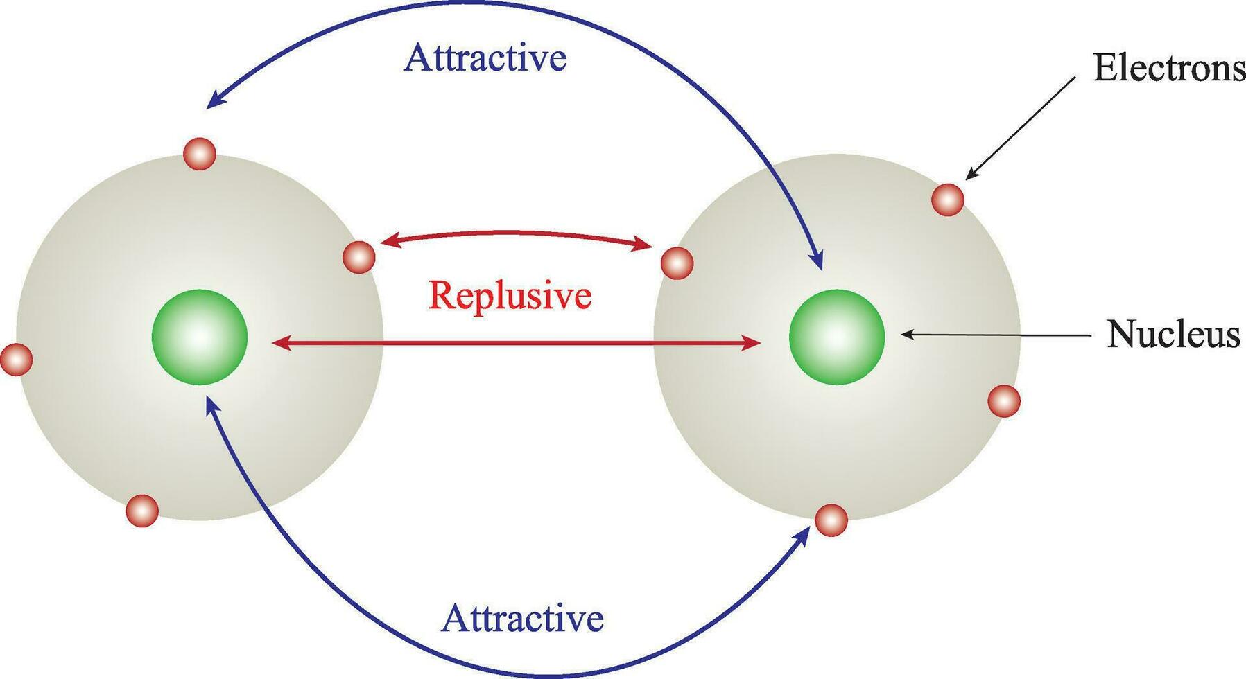 Bonding diagram explain repulsive and attractive forces vector