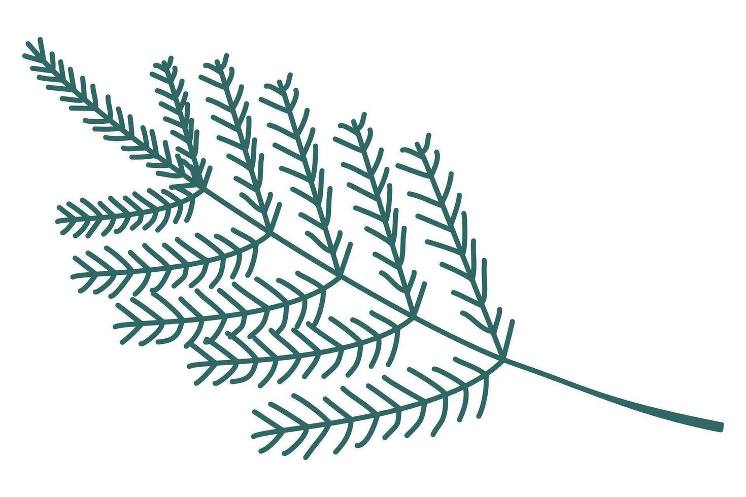 Vector linear Green spruce branch. Simple and primitive geometry illustration isolated on white background for design and graphic art. Line Winter element for postcard, Card, Banner, poster, flyer.