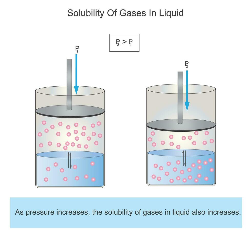 Sulubility of gases in liquid. As pressure increases, the solubility of gases also increases. Henry's law. science illustration. vector