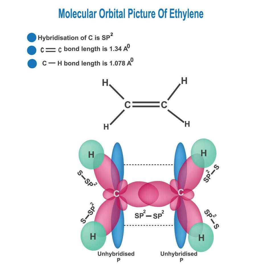molecular orbital picture of ethylene, formation of sp2 hybridisation. vector