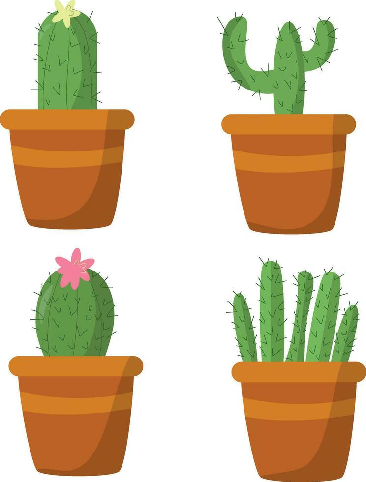 four cactus plants in pots on a white background vector