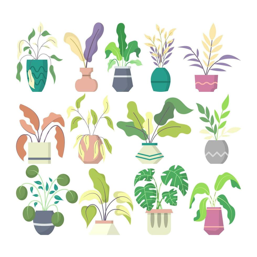 Set of Hand drawn Flat Houseplant Collection vector