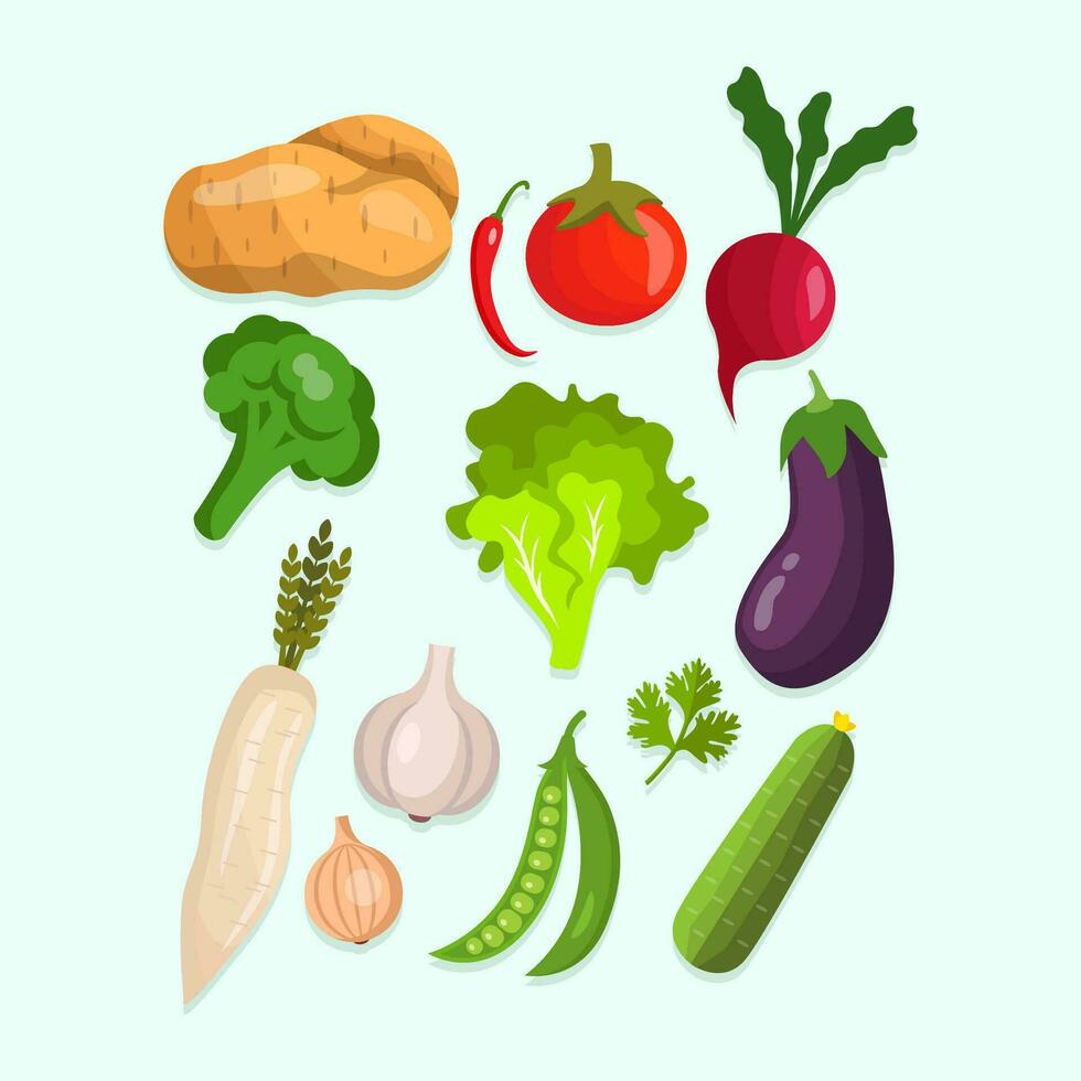 Cartoon Vegetables Collection. Potatoes, chilies, tomatoes, beets, broccoli, mustard greens, eggplant, potatoes, garlic, onions, long beans, bitter gourd in cartoon style. Vector eps 10