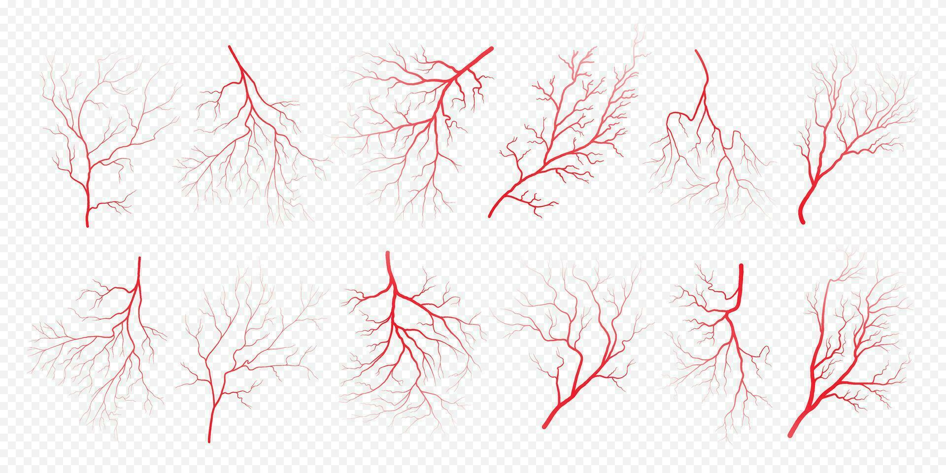 Human eye blood veins vessels silhouettes vector illustration set.