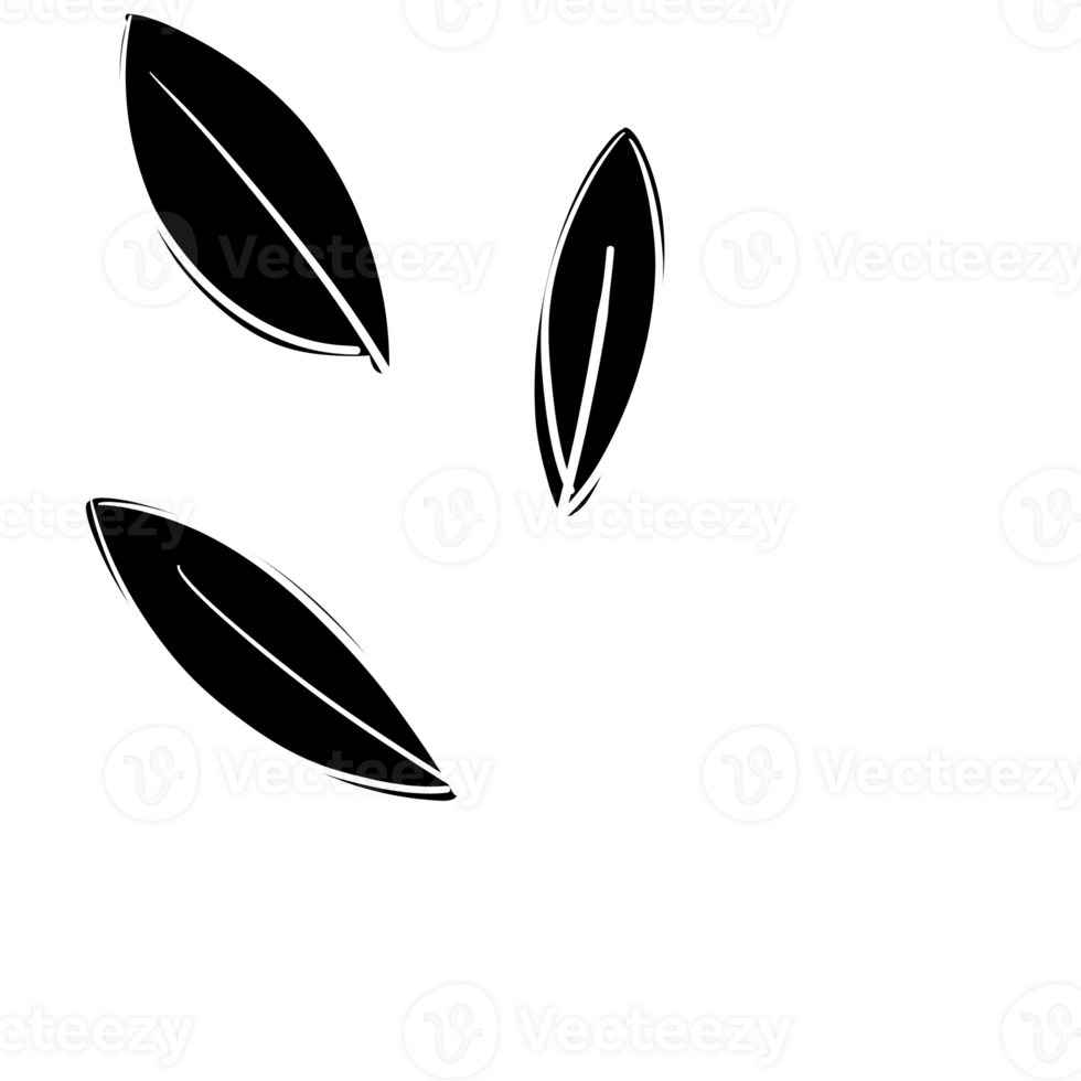 Hand Drawn Line Art Plants png