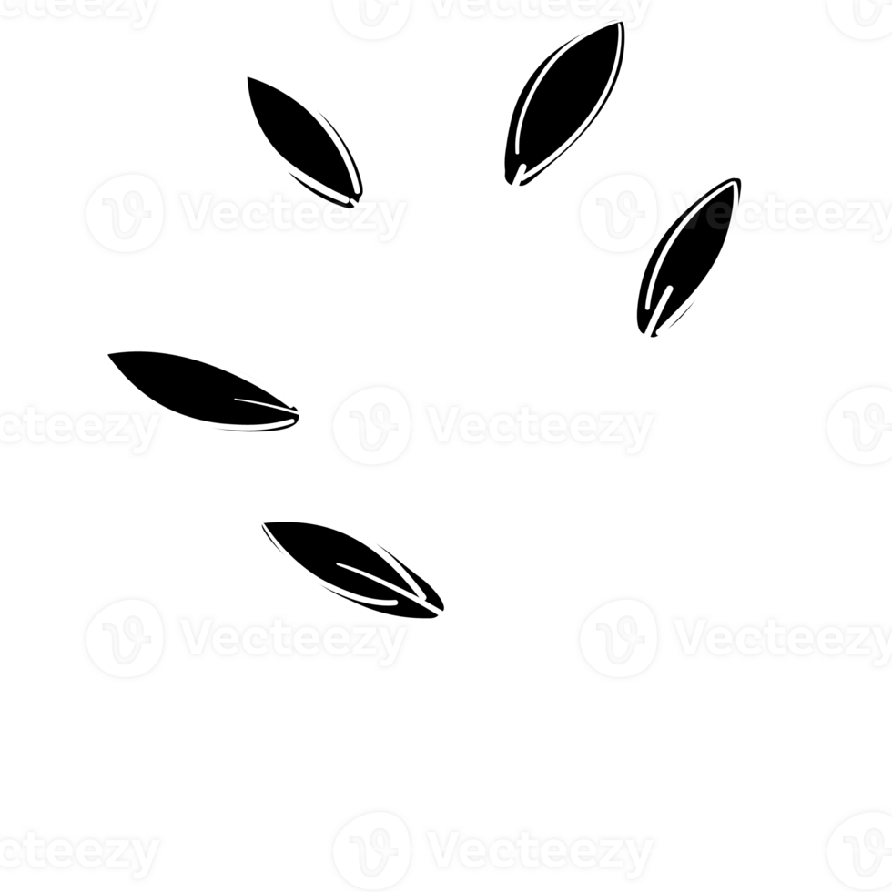 Hand Drawn Line Art Plants png