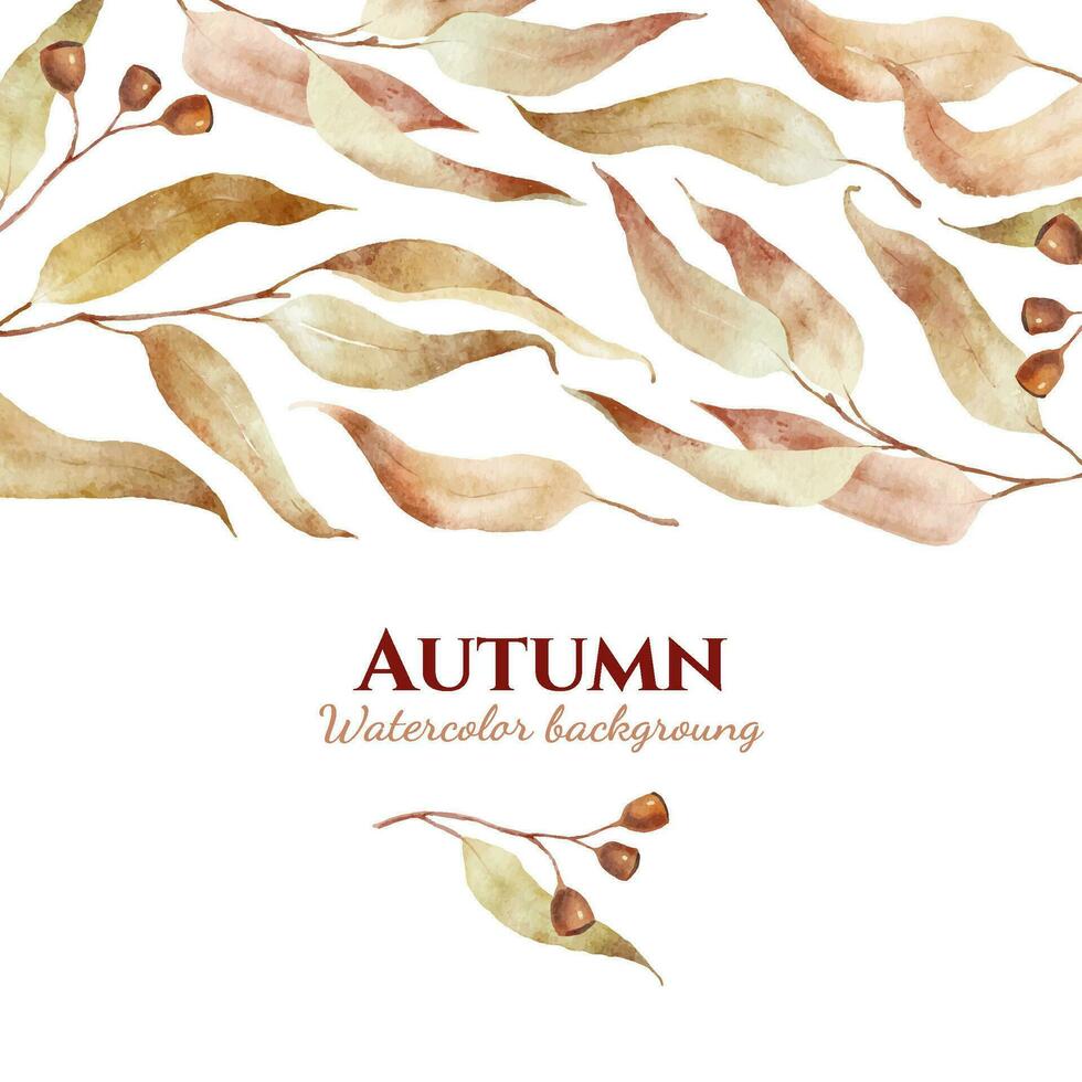 Watercolor autumn leaves background. Red and brown eucalyptus branches border isolated on white. Square design for leaflets, cards or invitations with space text. vector