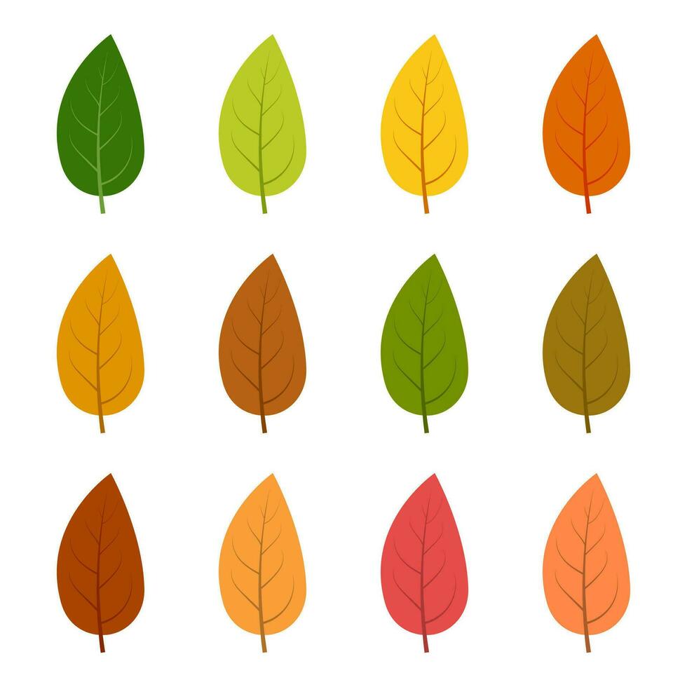 Set of twelve autumn leaves in different autumn colors. Vector illustration.