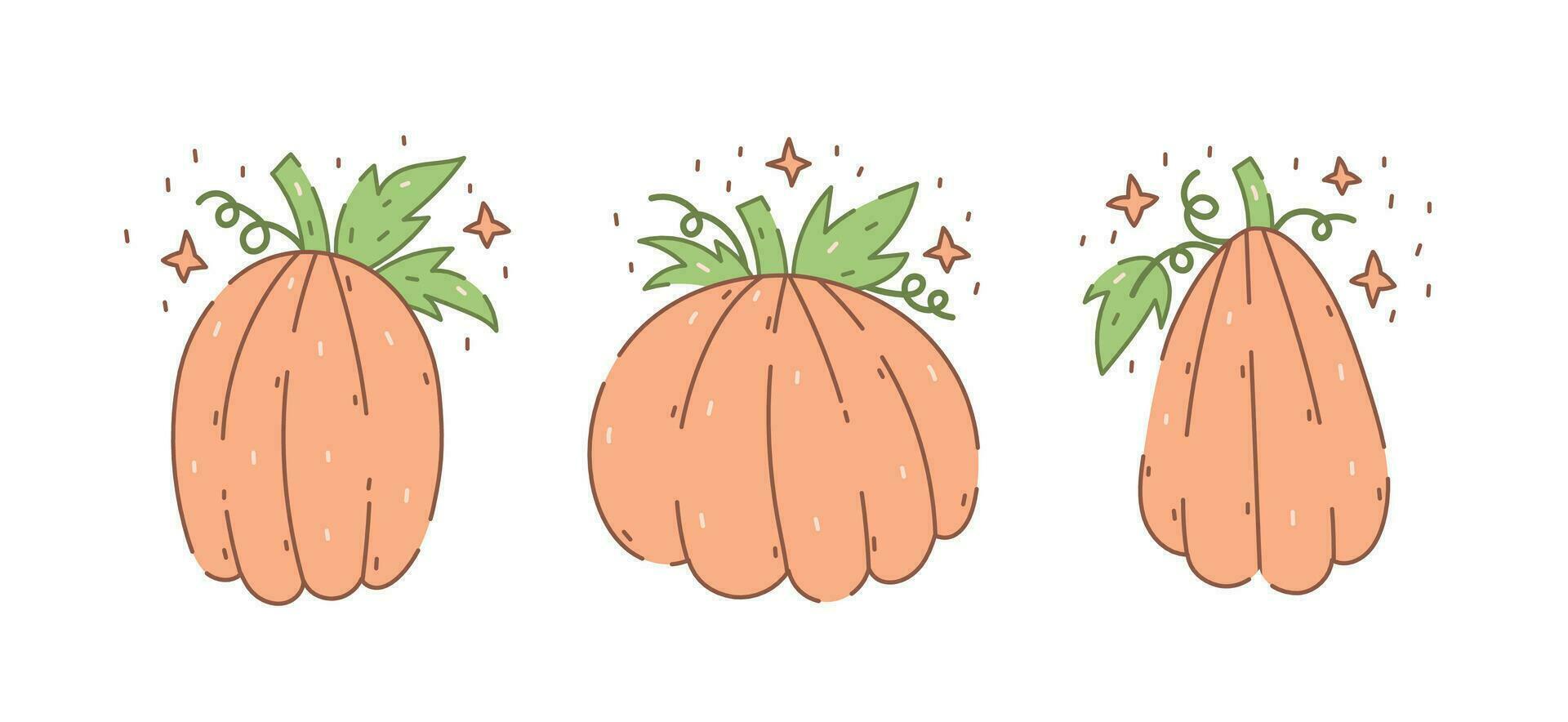 Pumpkin hand drawn set vector