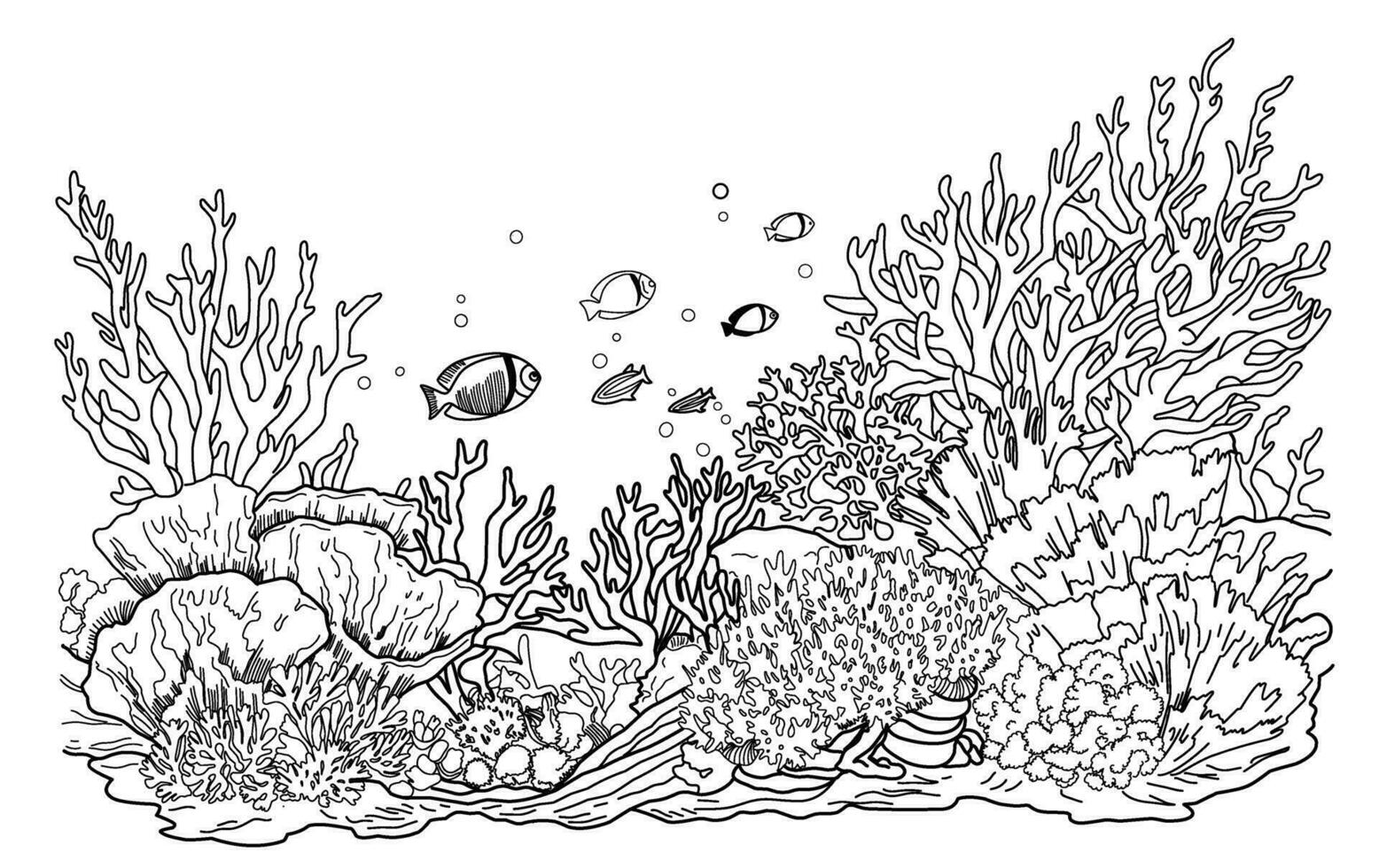 Underwater world coloring page. Coloring page life in the ocean with algae. vector