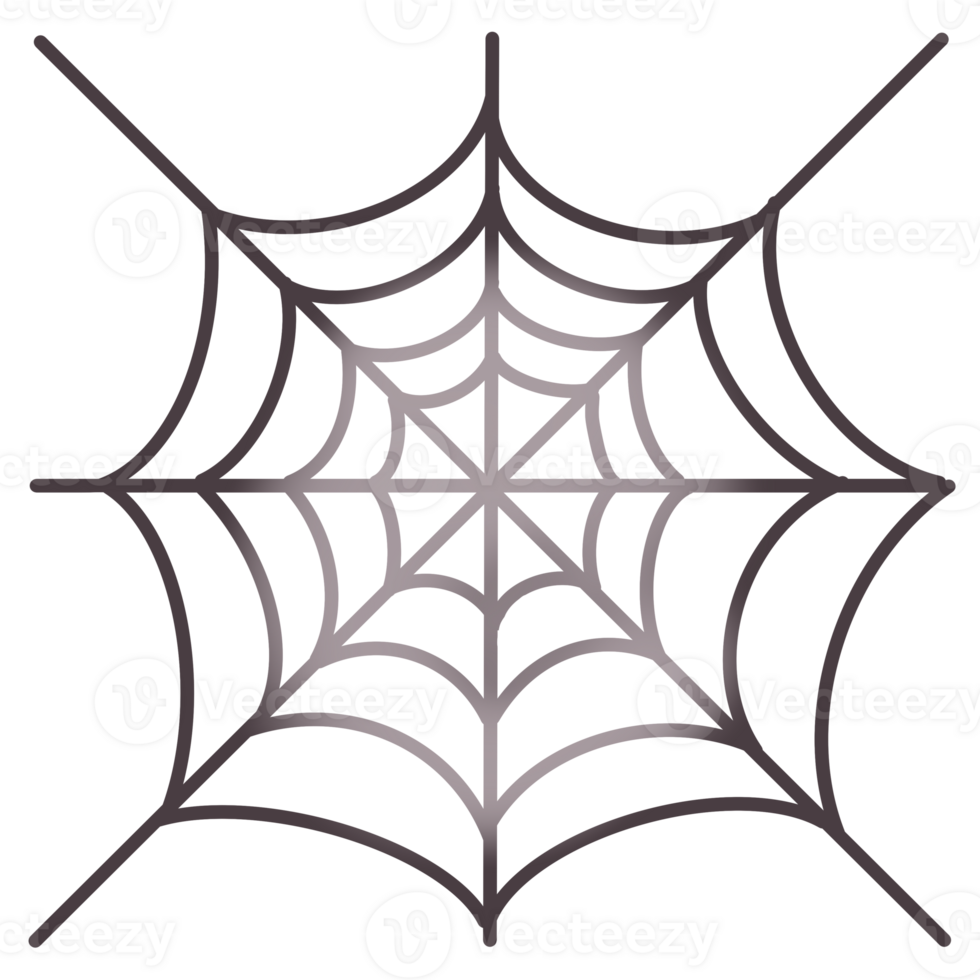 A spider web png