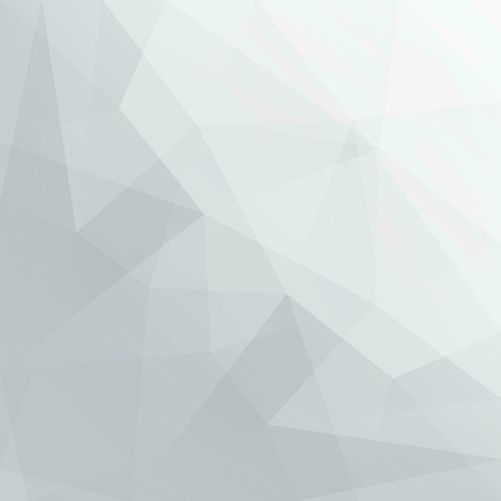 abstract white and gray polygonal background vector