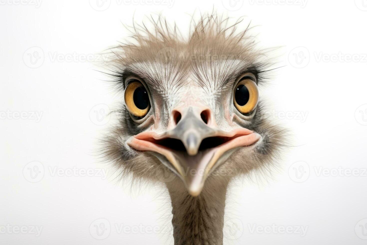 Ostrich head on a white background. Close-up. AI Generated photo
