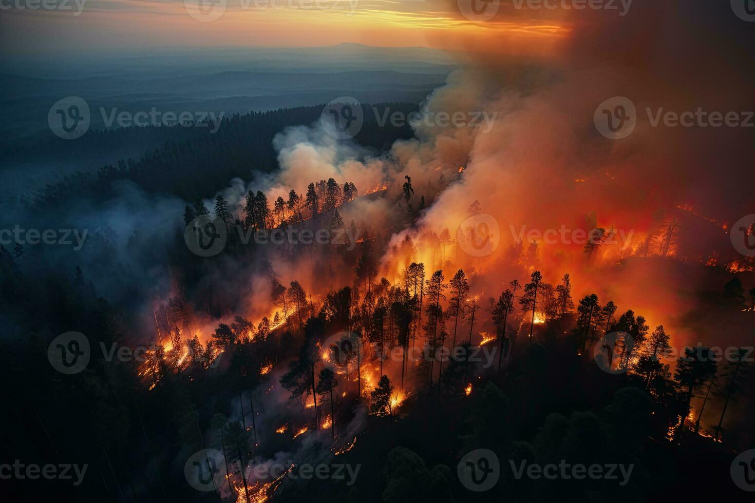Fire in the forest at sunset. Natural disaster due to the heatwave. AI Generated photo