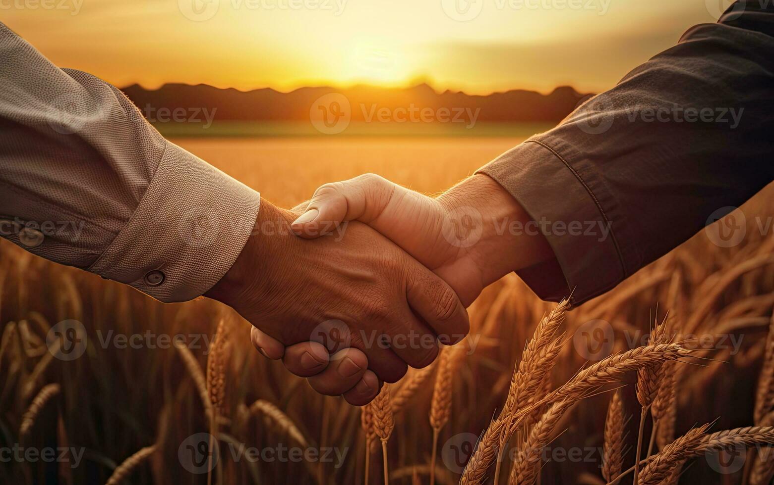 Two hands shaking in a wheat field during sunset. AI Generated photo