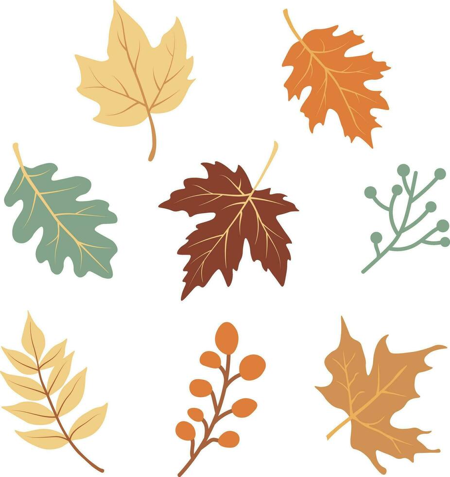 Autumn leaves collection vector graphic