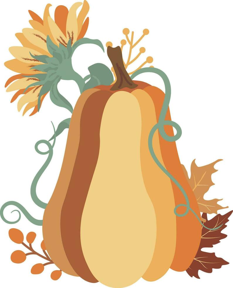 Autumn Pumpkins Sunflowers compositions isolated Vector illustration on white background
