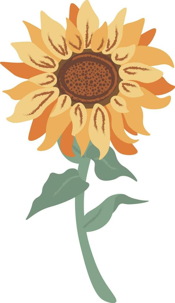Vector floral composition with sunflower