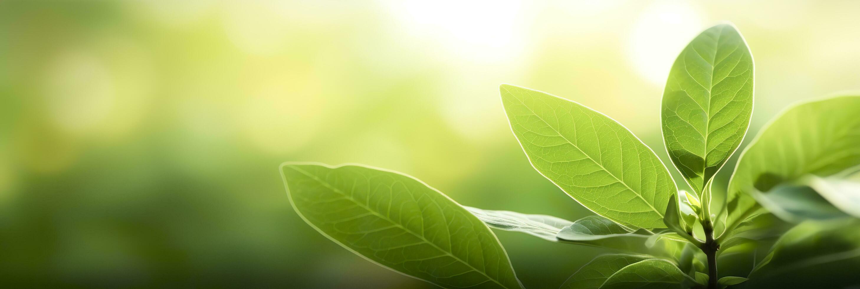 Close up of nature view green leaf on blurred greenery background. Generative AI photo