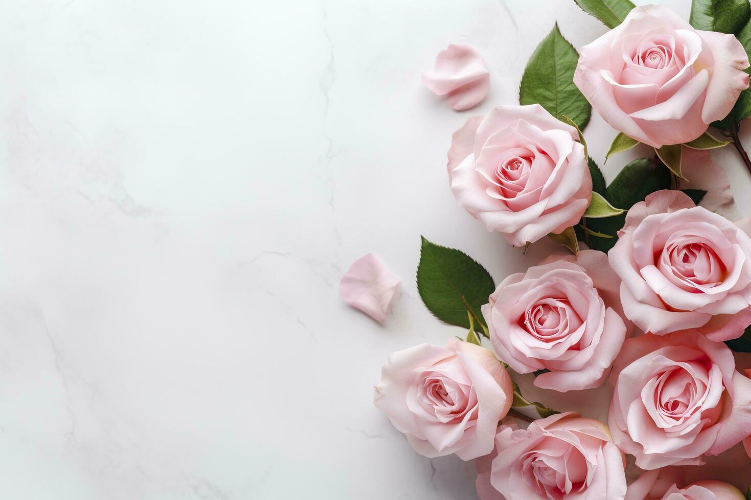 Close up of blooming pink roses flowers and petals isolated on white table background. Floral frame composition. Decorative web banner. Empty space, flat lay, top view. AI Generative photo
