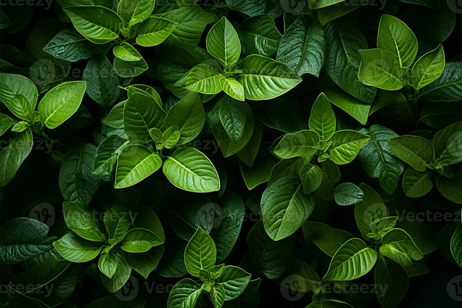 Top view of lush green leaves with detailed textures, natures artistry AI Generated photo
