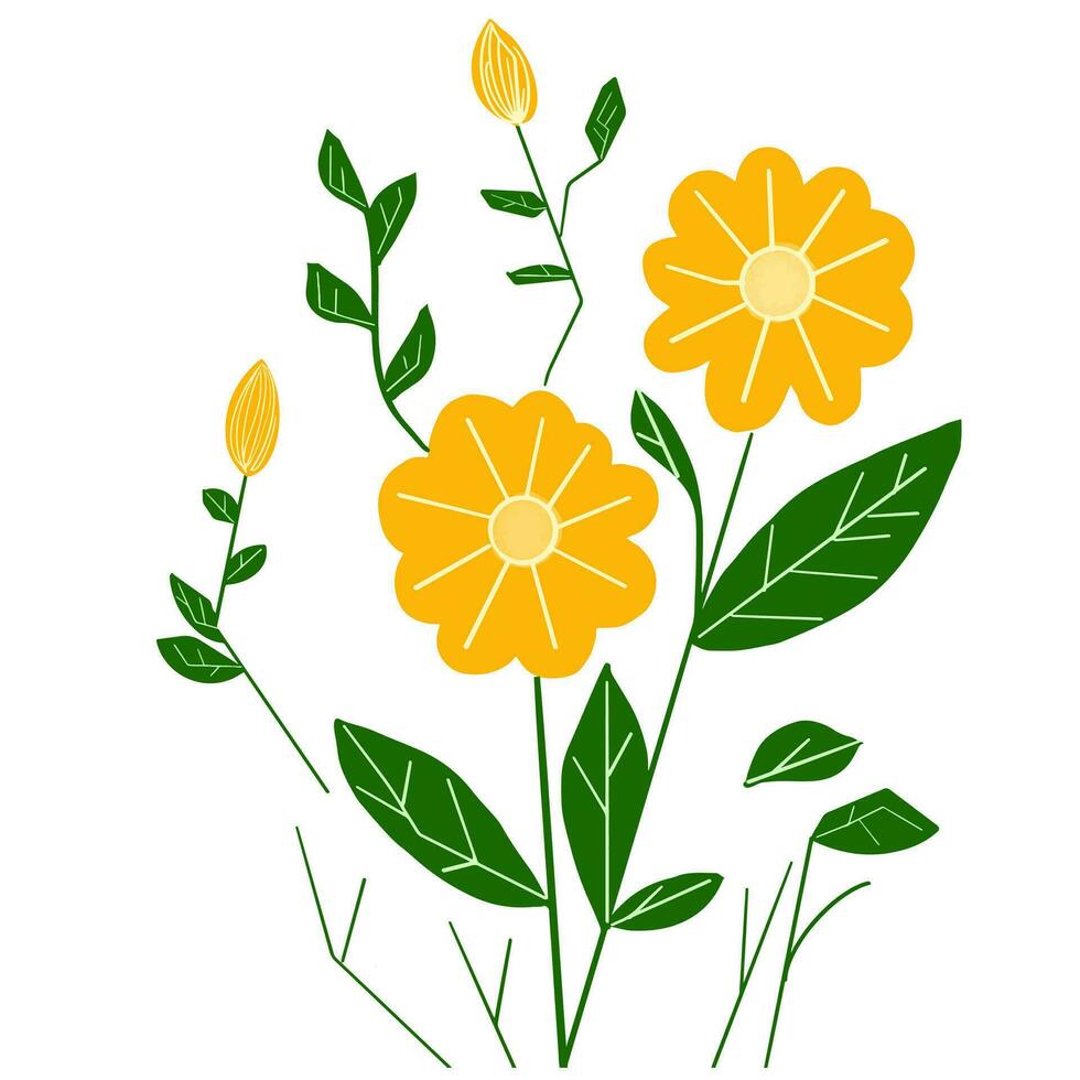 sunflower yellow flower watercolor on white background, vector