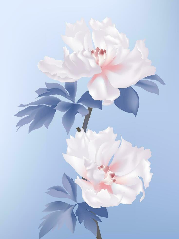 Vector hand painted white peony