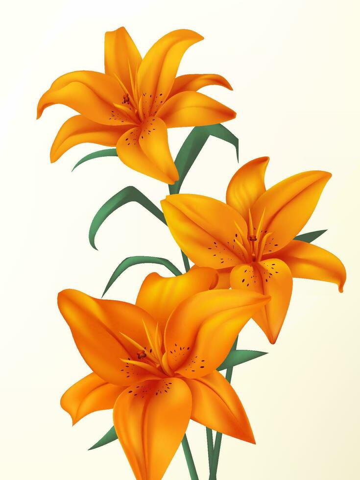 Vector hand painted orange flowers