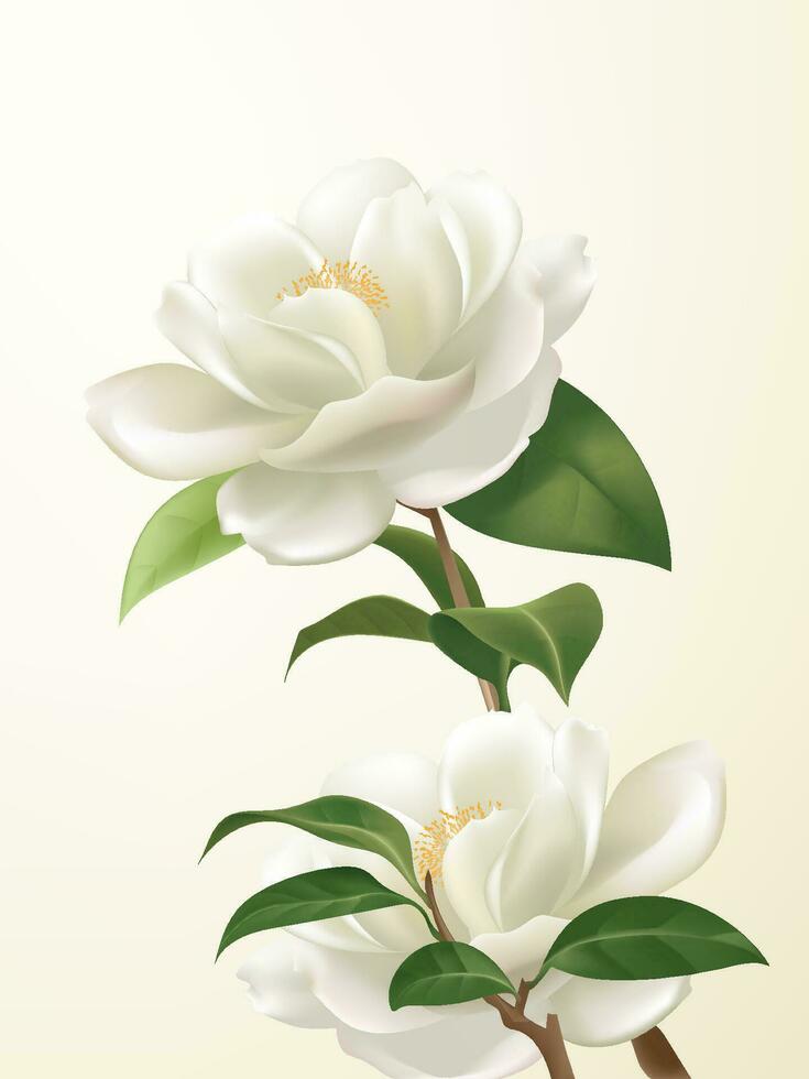 Vector hand painted white camellias