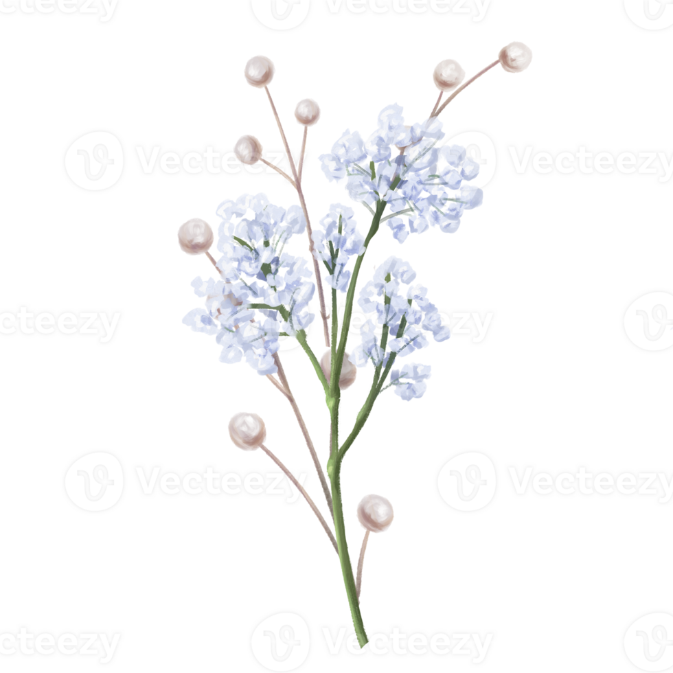 An elegant composition of blue gypsophila and dried decorative flowers in watercolor style. Digital illustration. For invitations, date saving, gratitude or greeting card png