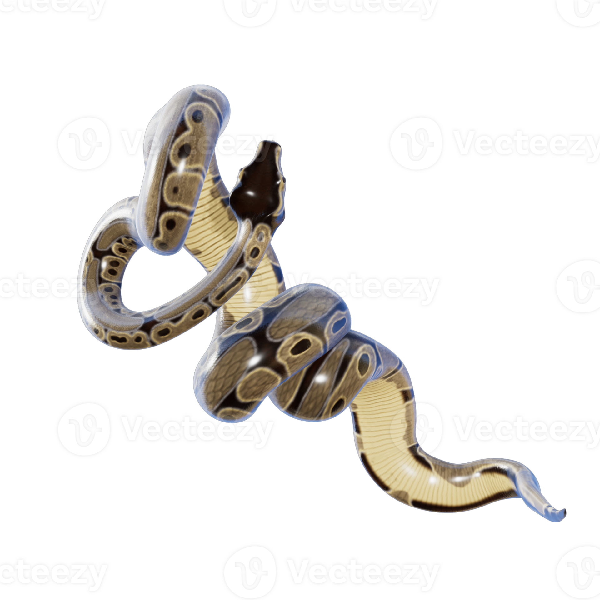 Snake isolated 3d 28292384 PNG