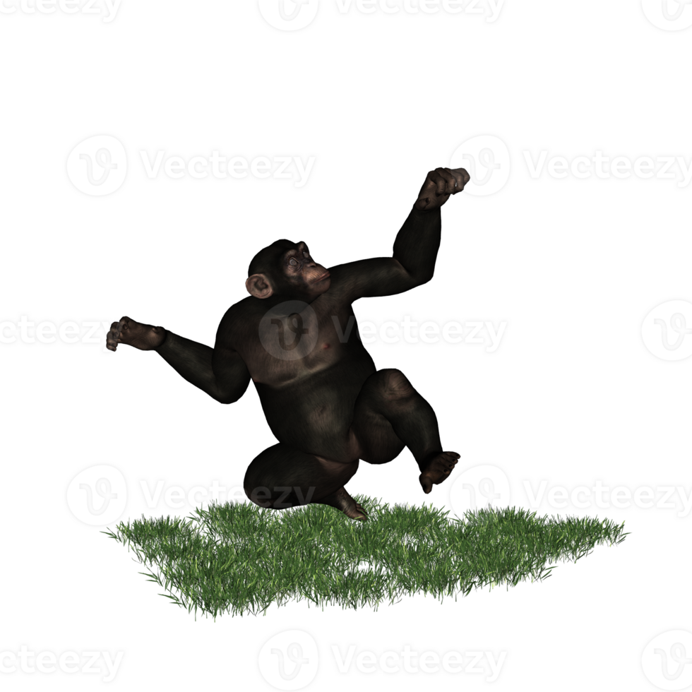 chimpanzee isolated 3d png