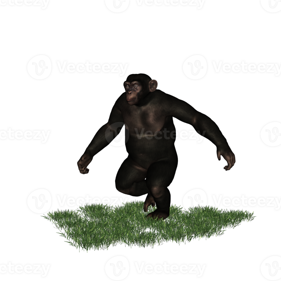 chimpanzee isolated 3d png