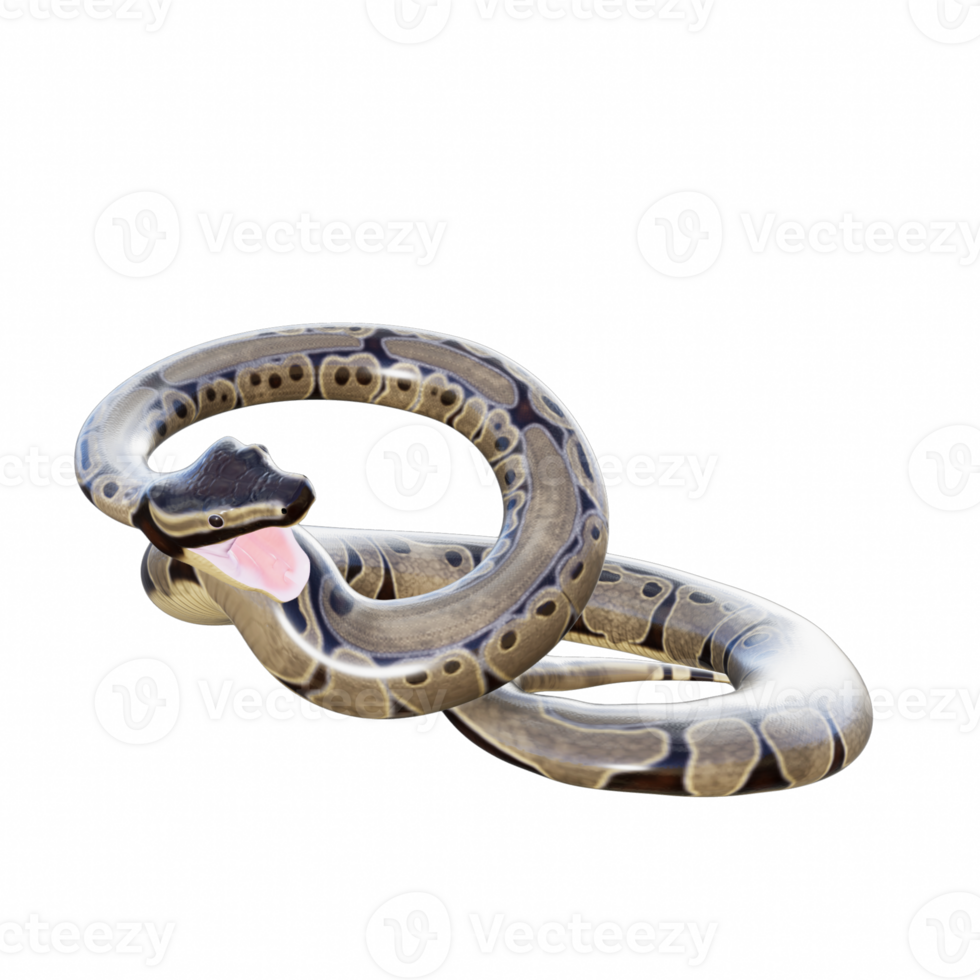 Snake isolated 3d png