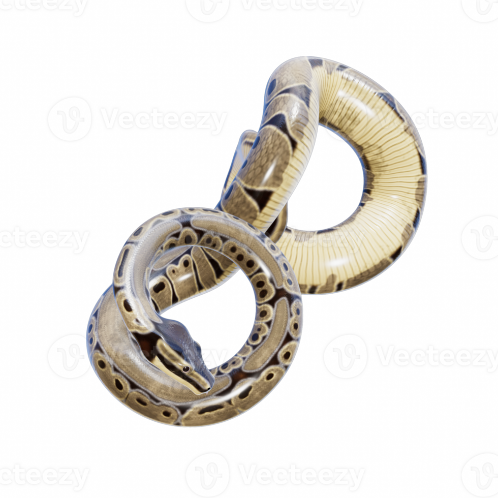 Snake isolated 3d png